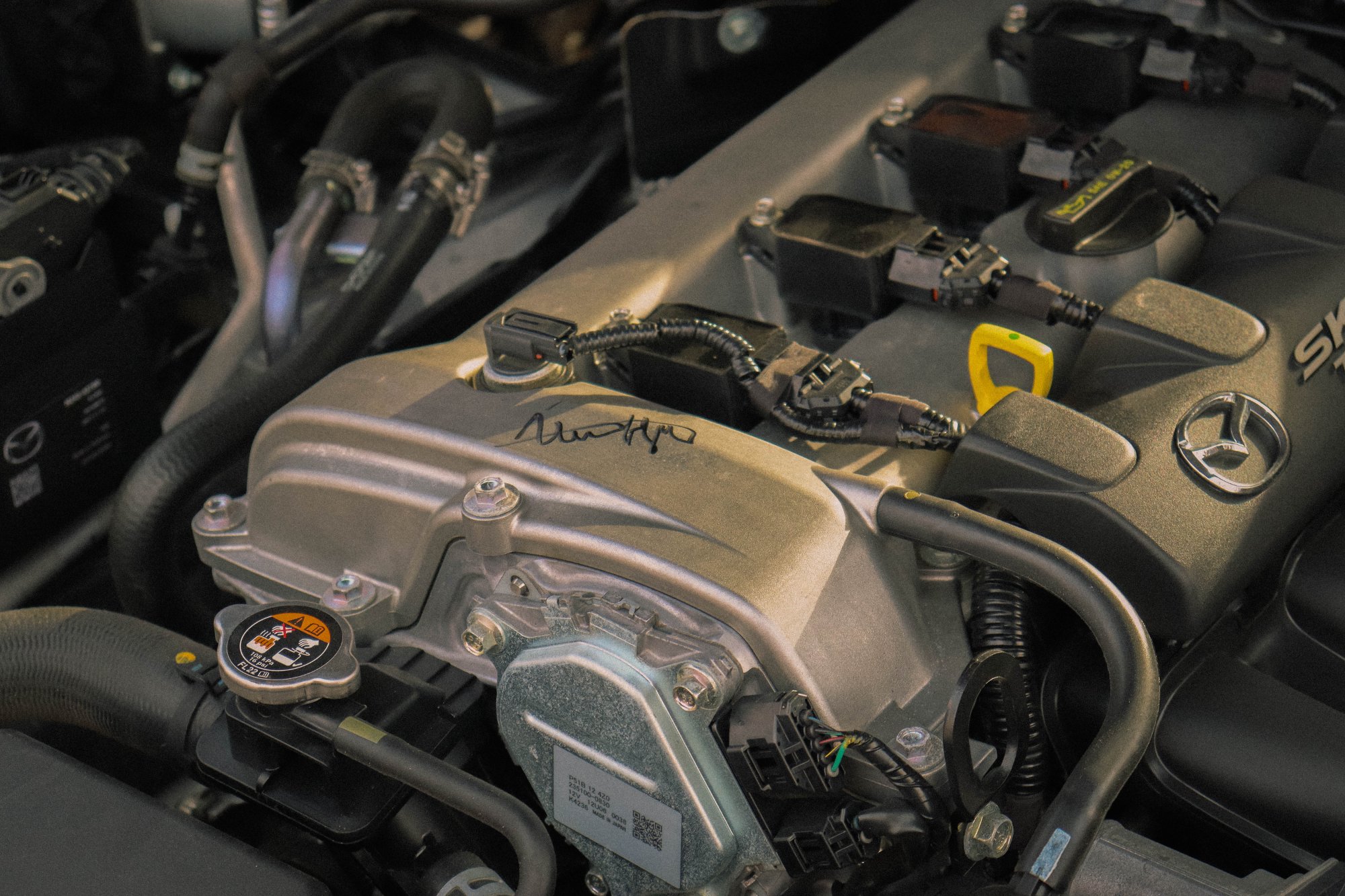 Car reveal event - community